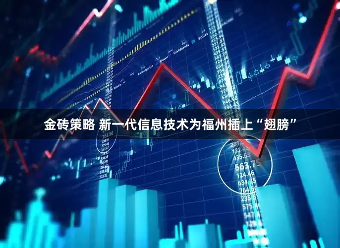 金砖策略 新一代信息技术为福州插上“翅膀”