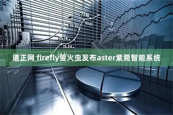 道正网 firefly萤火虫发布aster紫菀智能系统