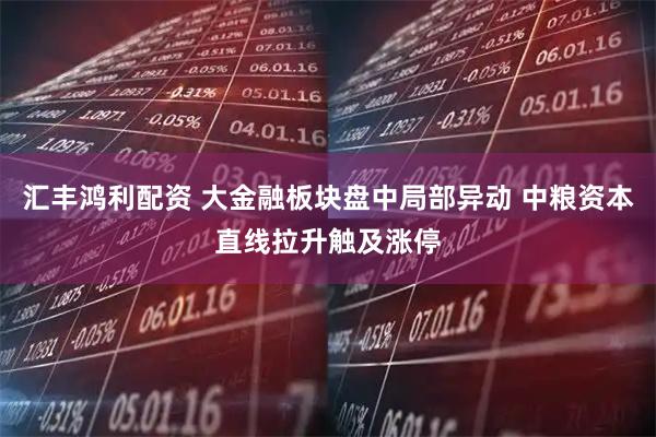 汇丰鸿利配资 大金融板块盘中局部异动 中粮资本直线拉升触及涨停