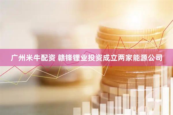 广州米牛配资 赣锋锂业投资成立两家能源公司