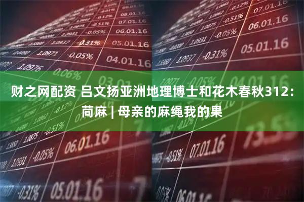 财之网配资 吕文扬亚洲地理博士和花木春秋312：苘麻 | 母亲的麻绳我的果