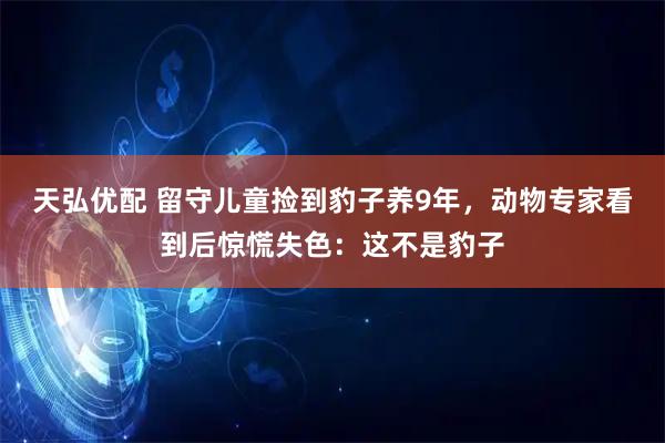 天弘优配 留守儿童捡到豹子养9年，动物专家看到后惊慌失色：这不是豹子